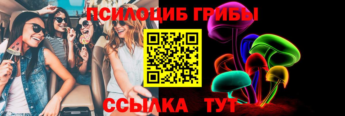 Псилоцибиновые грибы Psilocybe  Вход с VPN  Фрязино 