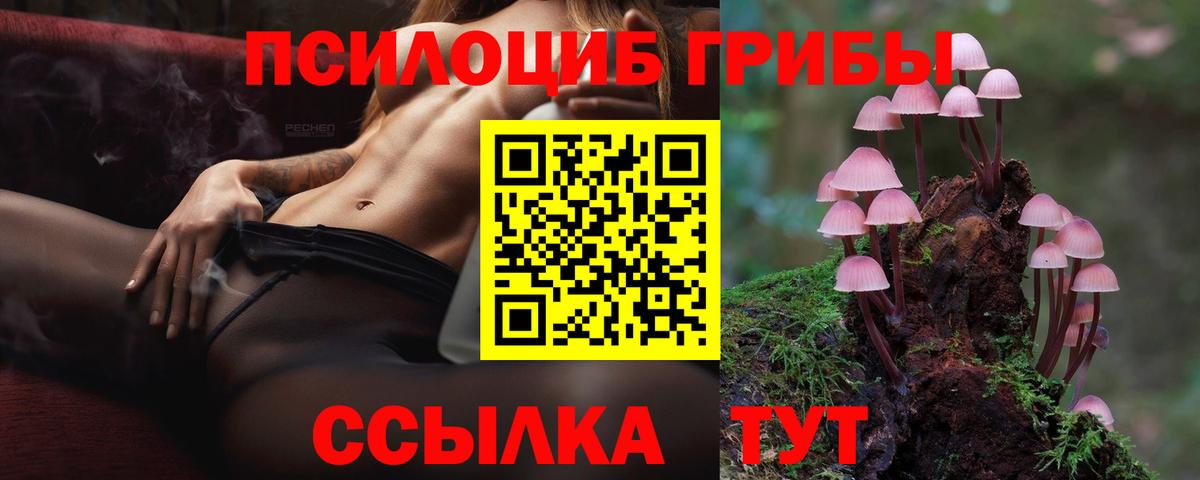 Псилоцибиновые грибы MAGIC MUSHROOMS Фрязино